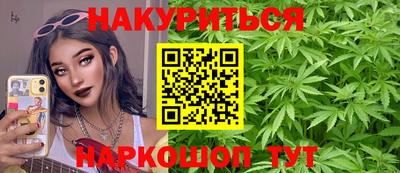 индика Новокубанск