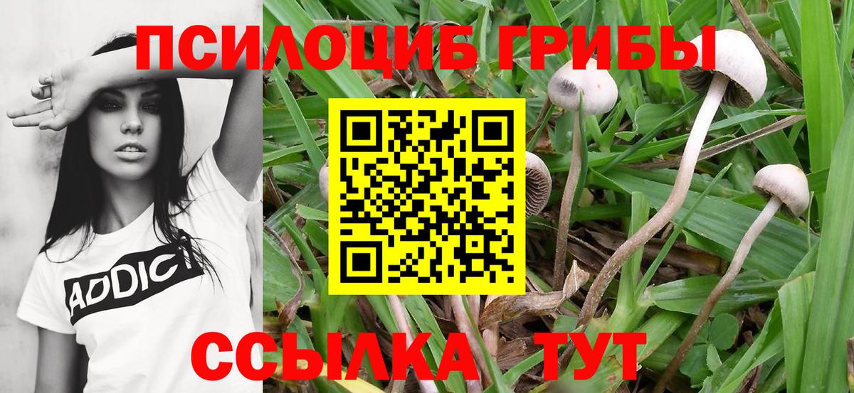 Галлюциногенные грибы GOLDEN TEACHER  Галлюциногенные грибы Cubensis  как найти   Вход с VPN  Фурманов 