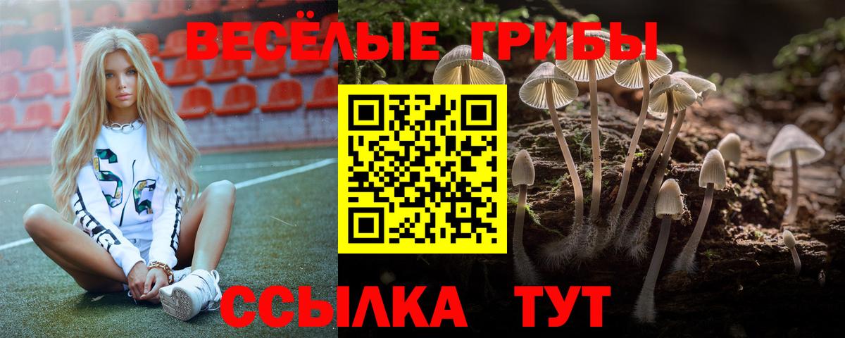 Псилоцибиновые грибы прущие грибы Фурманов